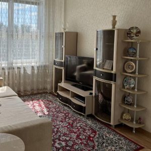 1-к. квартира, 31,8 м², 4/5 эт.
